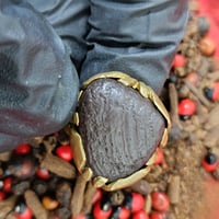 هبهاب • مكاوي • جامد