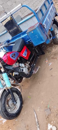 ستوته نظيفه أوراق مكفول كفاله عامه موديل ١٤ بغداد ستفسار رقم بغداد ستف...