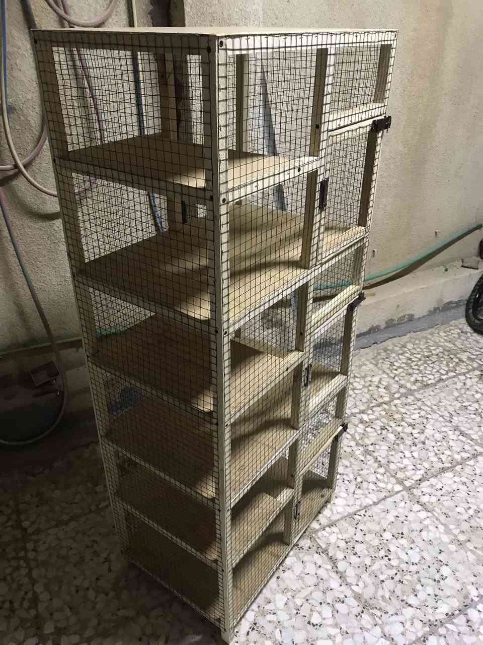 متاح قفص3خانات جديد مامستخدم الارتفاع الكلي متر و40 سم والعرض 60 سم والنزال40سم كل خانه بيها رف/كربلاء حي الانتفاضه الثانيه


**إذا كنت صاحب هذا الإعلان وتريد حذفه لأي سبب، رجاءا أرسل رسالة إلى الدعم الفني**