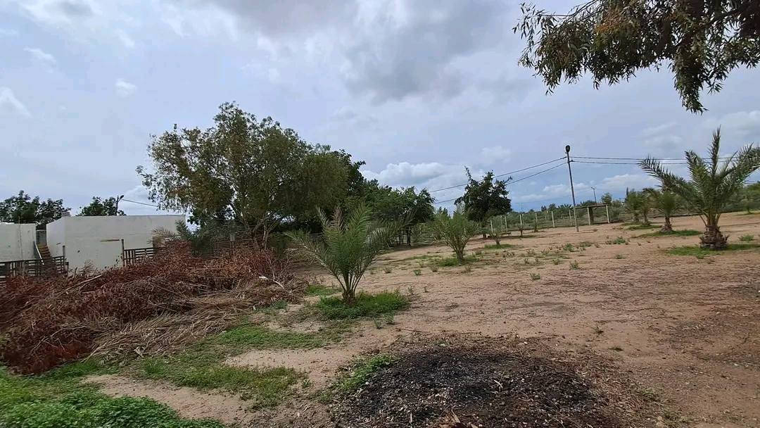 للبيع 🔥 فرصة استثمارية مميزة
مزرعة بمساحة 15 دونم (طابو زراعي – تحويل مباشر)
📍 الموقع: على الطريق الدولي بغداد – الأنبار، مقابل جامعة الفلوجة
📏 الواجهة: 100 متر مباشر على الشارع العام
✨ مميزات المزرعة:
دار عدد 2 جاهزة للسكن
استراحة كرفانات + خيمة كبيرة مجهزة بالكامل
جلسة مثمنة (سكيورتي)
جميع الخدمات متوفرة (ماء، كهرباء)
مزروعة بأفضل أنواع النخيل والفواكه المتنوعة
مسيجة بالكامل
اسطبل خيول متكامل
محمية حيوانات
💰 السعر: الدونم 250 مليون (قابل للتفاوض)
📞 للاتصال والاستفسار:
***********
📱 واتساب: ***********

