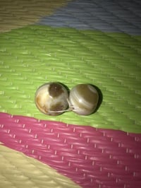 عطفه ماعرف سعرهن للبيع ٠٧٧٠٩٧٩٠٢٠٤ مدينه الصدر