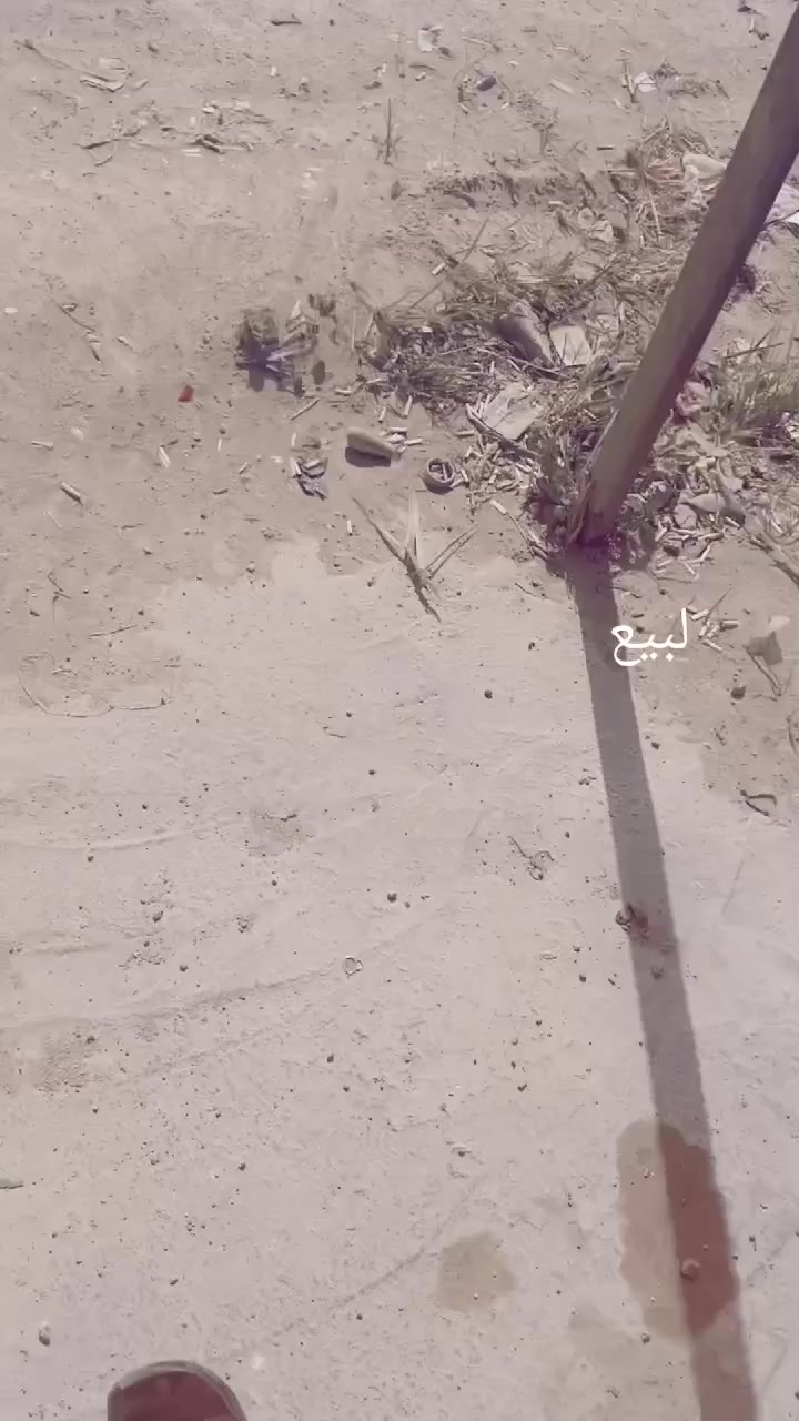 ماكسات ببيع من 400 وجوه ***********
