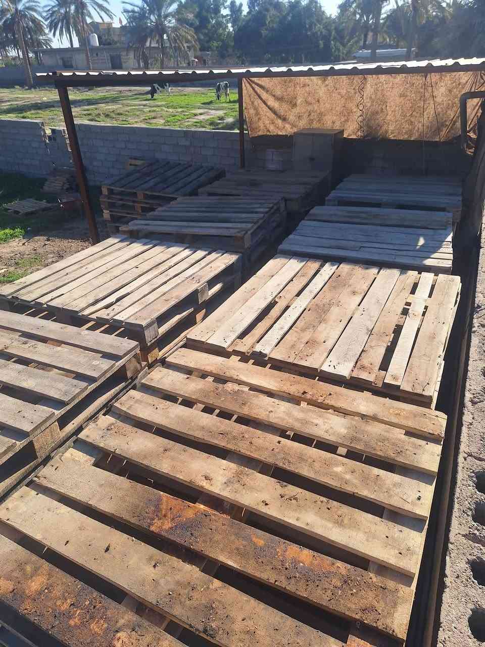 سكيب قياس 115×115 مربع ثقيل 
مثل ماواضح بالصورة ابيع شلع عدد 140سكيبه
 #ملاحظة مثل ماواضح بالصورة ابيع مو يجي ويحرجني هاي اريدها وهاي مااريدها اني خطار عليك .الكل على راسي 
الله يرزق الجميع 
 الاستفسار ***********
