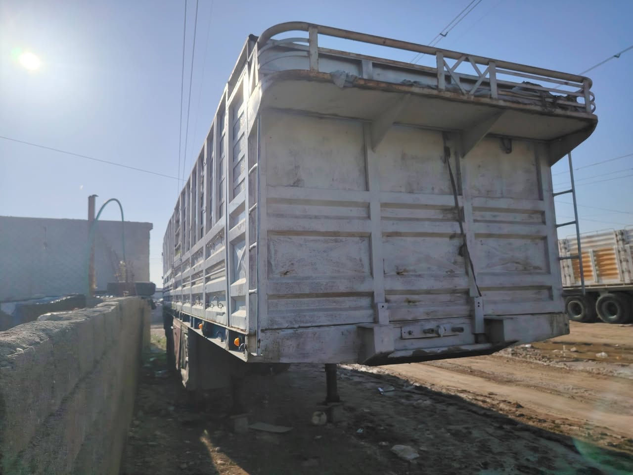 عربانه اللبيع الطول 12 التواصل عل رقم ***********
