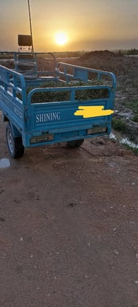 ستوته • ٢٠٢٣ • مكفوله