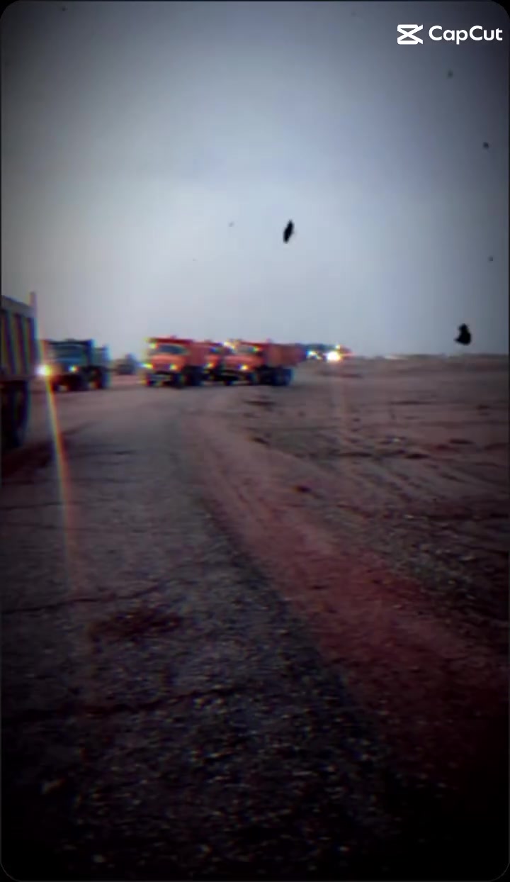 قجمه شاصي بلادي مجموعه جاف ام قيطان تخم تايرمكاني لانبار رمادي سعر 55بيه مجال قليل رقم***********
