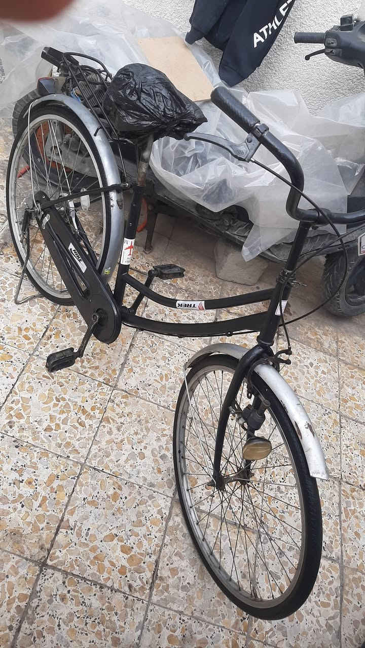 البيع واحد بناتي وثاني يابانيات من بغداد


**إذا كنت صاحب هذا الإعلان وتريد حذفه لأي سبب، رجاءا أرسل رسالة إلى الدعم الفني**