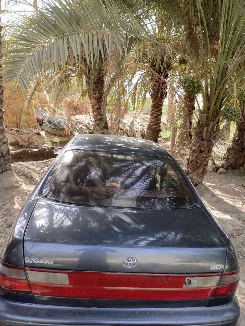 كرونة للبيع موديل ٩٣ باسمي رقم نجف نكليزي سنوية ل٣١  هزة جديدة مكفولة من الكصة ونقل الجثة  مكاني الديوانية/غماس السعر ٤٥ وبيها مجال ***********
