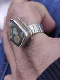 سليماني قديم • مقاس 18 • البصرة