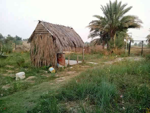 قطعة ارض زراعي طابو سند 25المساحة 500مربع مسيجة بي ارسي وفيها ماء وكهرباء العنوان بعقوبة العثمانية قرب بيت حجي قيس البياتي لها طريقان اما عن طريق اسواق الكربولي اوما على السدة السعر 40مليون بيها مجال الاتصال على الرقم ***********
