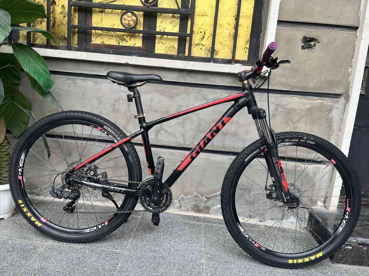 بايك جبلي
ماركة GIANT حديث
تايرات MAXXIS
وايرات دفن
البايك كامل مابي اي نقص
السعر 300 الف بي مجال 
مكاني بغداد مدينة الصدر 
واتساب ***********
