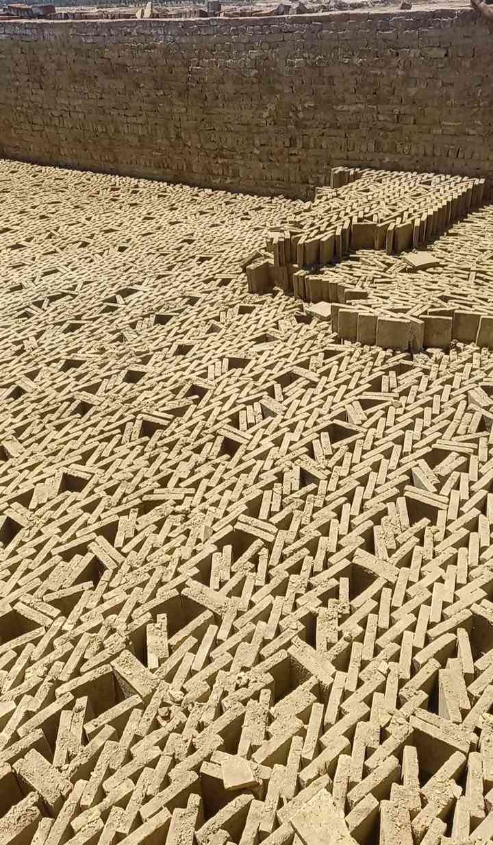 تعلن سكله المنكوشي للبيع الفرشي خضراوي درجه اولى التواصل العنوان كربلاء تصال ع *********** ***********
