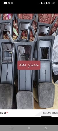 حصان • فرس • ميسان