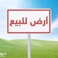 الثغر • ٤٥٠م • ركن شارعين ١٤م/١٥م