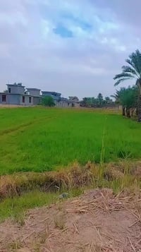 الفلوجه الكيفيه • سند 25 • ٣٥ دونم