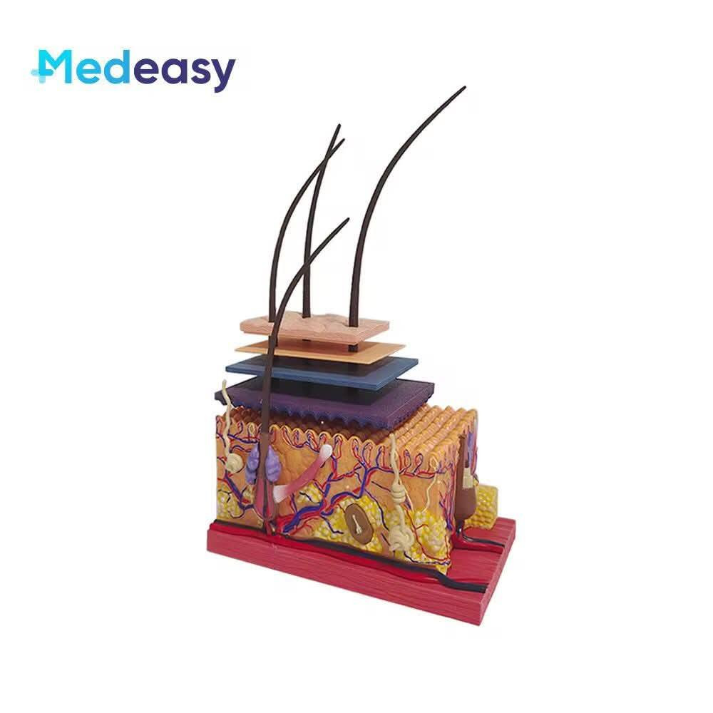 هاذا تعليمي يخص الطلاب خلونة سعر وبالعافية


**إذا كنت صاحب هذا الإعلان وتريد حذفه لأي سبب، رجاءا أرسل رسالة إلى الدعم الفني**