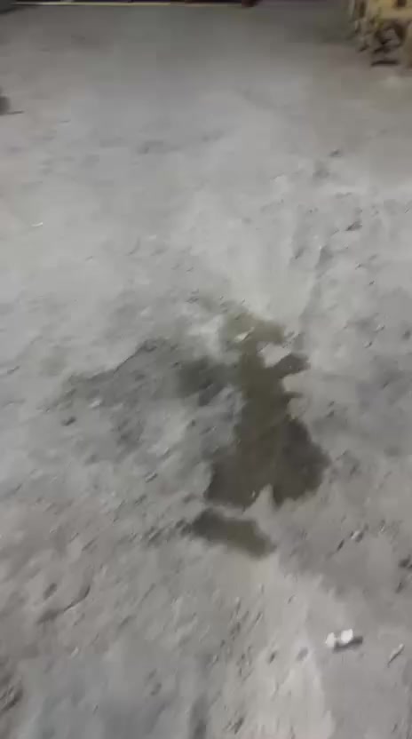 التفريغ مستمر والاستيراد مستمر وكلاء شركة skm في العراق لتجارة البكج يونت الفريش اير والعادي
الموقع بغداد السنك سوق التبريد
***********-***********
