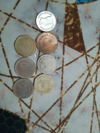 شلعة • ٥٠٠ قطعة