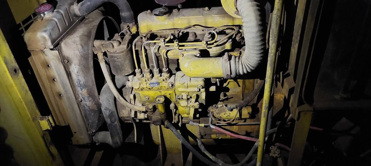 مولده للبيع *********** ***********
