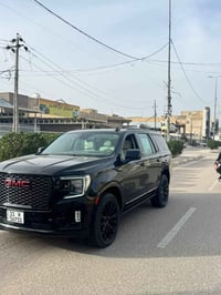 يوكن دينالي • ٢٠٢٣ • كفالة