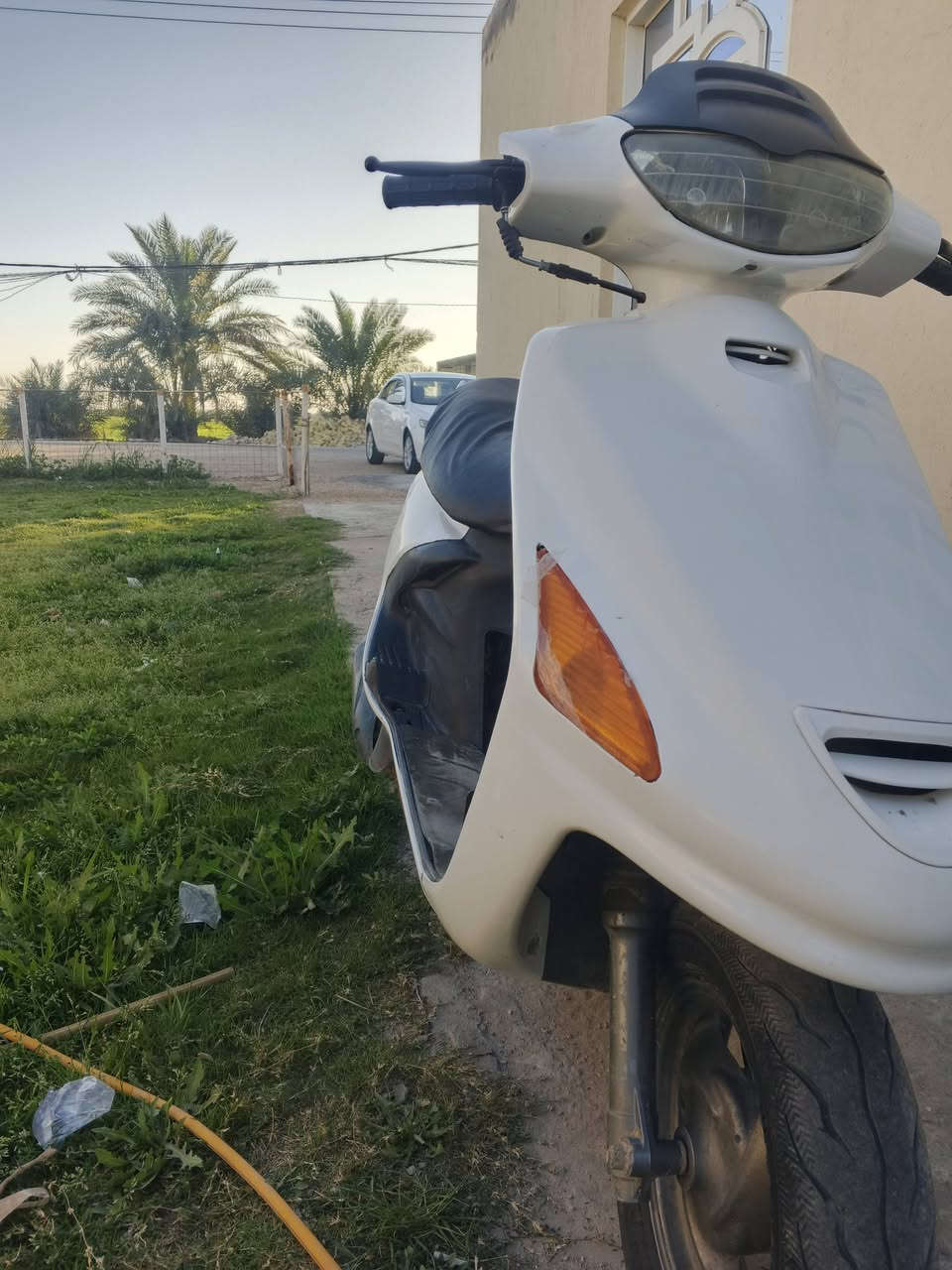 دراجه فحل للبيع دراجه حلوه ونضيفه العنوان نجف مشخاب الشراي اتصل وبيك خير وتدلل  الرقم ‏‪***********‬‏
