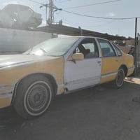 دولفين • ١١ ورقه • تحويل مباشر