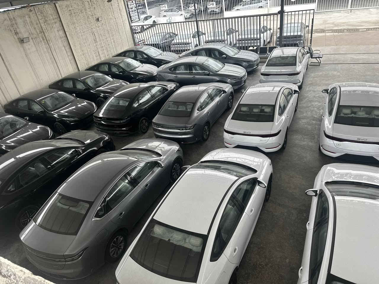 الاسعار جوه السووك 🔥

الديستروير 

الكن بلاص

سيل 5

 ويتوفر جميع انواع سيارات البي واي دي 

من قلب مخازن وساحات السيارات في اليوسفية 

للبيع المفرد والجملة

🥇مجمع معارض مدخل بغداد للسيارات

الاسعار اتصل وتدلل انسب الاسعار 

🔴بي واي دي دسترويرBYD موديل 2025 نار 🔥 

🔴بي واي دي كن بلاص BYD موديل 2025 🔥 

🔴بي واي دي سيل BYD موديل 2025 🔥 

الاسعار جدا مناسبه

        زورونا واهلا وسهلا بكم

يتوفر كافة انواع byd😍

___________________

مواصفات الكورلا 

فول الفول 

كرسي عادي 

شكل الامريكي وشكل خليجي

               

للاستفساراكثر اتصل على الأرقام التالية

🥰🥰🥰🥰☎️☎️☎️☎️

عزالدين الغريري

ادهم الغريري

***********

***********

***********

***********

معرض ديار الكرم 

📍الموقع بغداد اليوسفية قرب سيطرة 75

( مجمع معارض مدخل بغداد للسيارات)

(((معارض اليوسفية))) maps/waze 📍#BYD #bydبغداد #العراقيين

#BYDIraq

#يخيي

#متابعة

#BYD#. #بغداد
