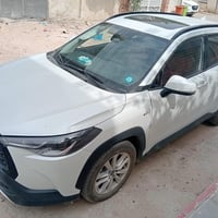كورلا كروز • ٢٠٢٥ • رقم بابل