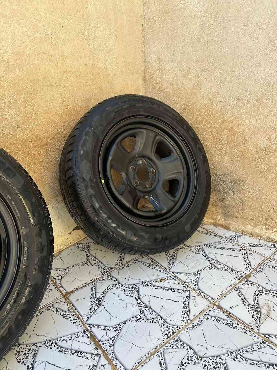 تخم ويل بوليسي أصلي كامل بدون صبغ سعره ٥٠٠ ألف *********** كربلاء
