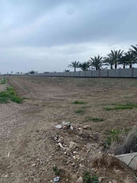يوجد دوانم  طابو زراعي سند ٢٥ م كافه الخدمات(مفوله) ٪٪ من شارع خاص بيه...