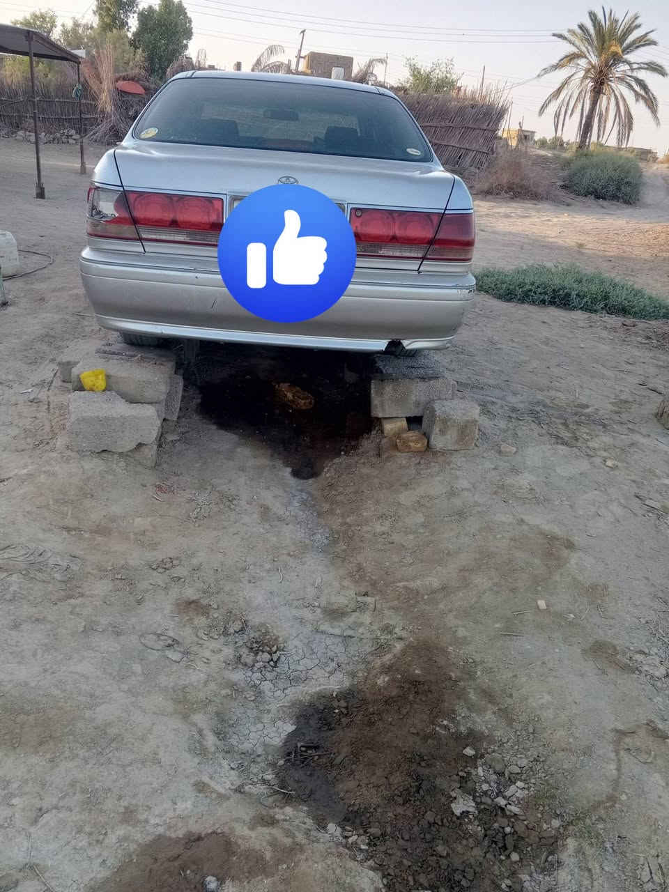 ملكة 2002ادوات ادوات مكينة ديفور الصغير كصة قمارة فقط ميكنة وكير وحداد. وتبريد كفالة تخم تاير جديد دشبول اسود تحوير نجف كهربائيات تشتغل من لطول لطول السعر ٣٨وبيهة مجال اوو مراوس ب شاهينة ادوات ***********مكاني ناصرية سوق الشيوخ
