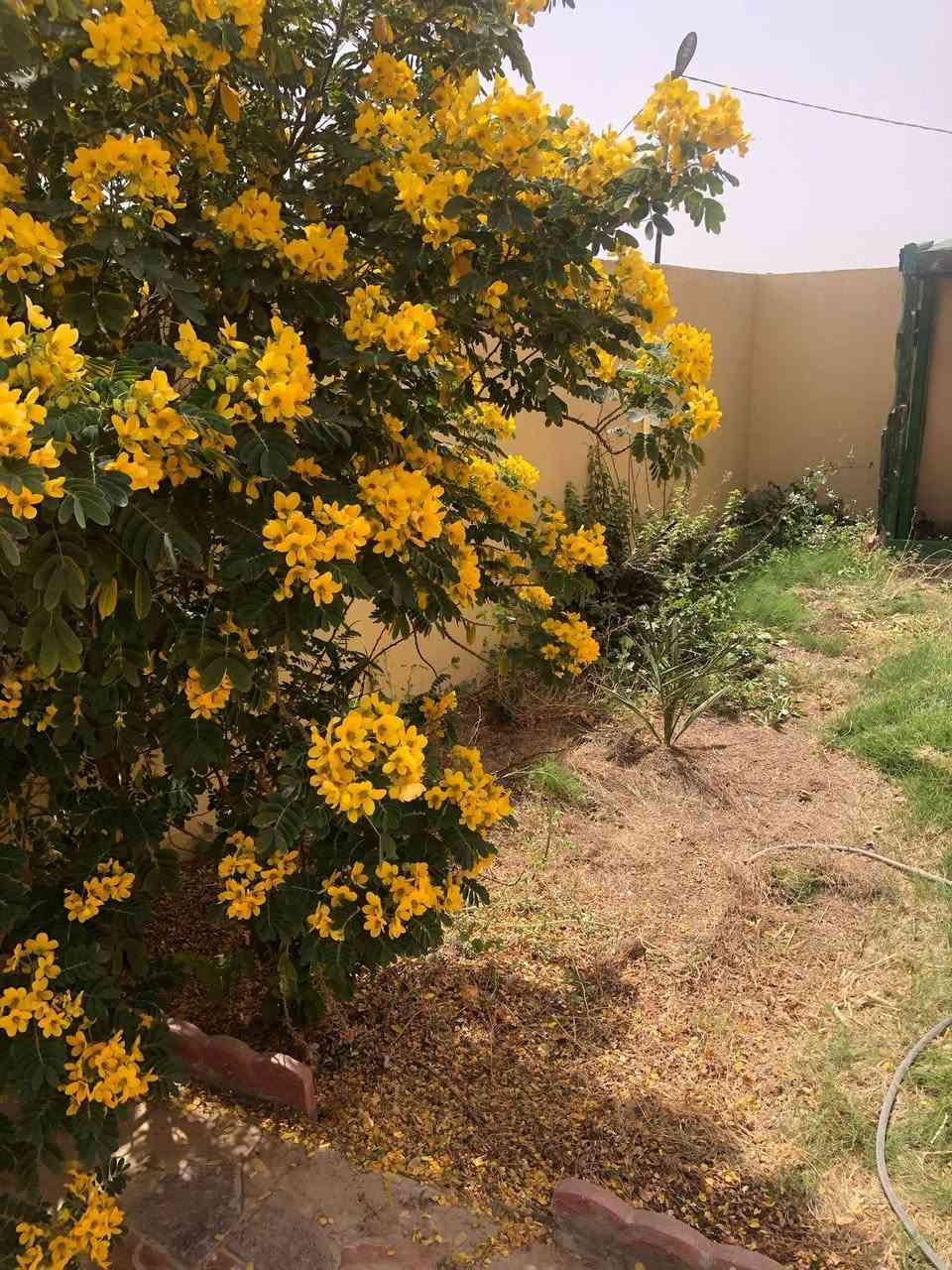 سلام عليكم 
بيت طابو ركن للبيع جاهز للسكن  بمجمع مدينة الرضا السكني قرب جامعة  ذي قار على الطريق الحولي..
البيت ركن المساحه ٢٠٠ متر .. وكراج سياره وحديقه وبجانب البيت فضله ٢٠٠ متر  هم تكون حديقه للبيت وايضا كدامه ساحه خضراء
السعر ١٣٥ مليون مع الاثاث وغير مطلوب لمستثمر او مصرف او مبادره يعني العقد مباشرة باسم المشتري البيت جاهز للسكن 
اي استفسار الاتصال على الرقم واتساب 
***********
@إشارة الحاج محسن الركابي الركابي الحاج احمد الاسكندراني الحاج ابو احمد العبودي الحاج ايادابو زينب الازيرجاوي عقارات مناسبة عقار ذي قار دارك علي هادي مهند ابو علي سيد علاء الحسيني ام ام نور ام حمودي ام مصطفى لوساطة لعقارية
