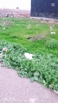 ركه حجي سهيل • ٢٠٠م • طابو زراعي