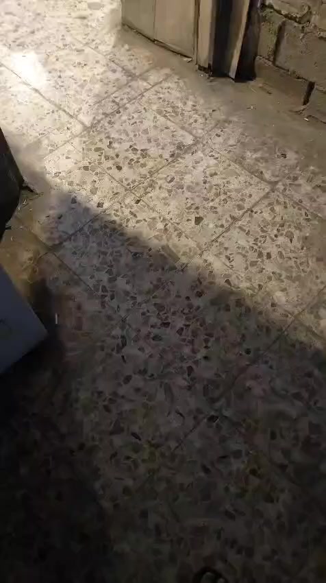 سلام عليكم بيت  بل رشاد للبيع مساحه 200متر طابو ملك صرف بسمنا وعلى سطح البيت شبكه عراقنا وبيه راتب سنوي وكهرباء مستمرة 24 ساعه (والثاني بيت 100 متر مربع عشره في عشره صاير ركن  (والثالث كوفي مساحة ١٥٠ ركن على شارع التانكي وياهه مطعم مأجرينه  وبيهن كهرباء مستمرة مرتبطه بالشبكه لمعرفة الأسعار  للإتصال على الرقم ***********
