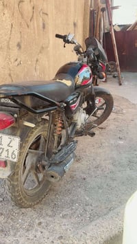 بوكسر ٢٠٢٢ • كفالة عامة • بغداد العامرية