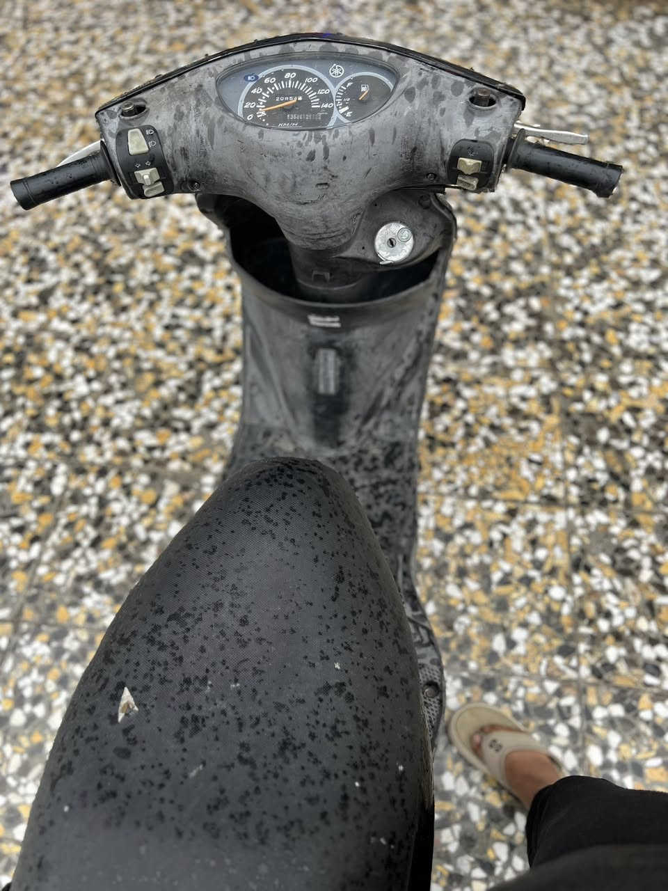 دراجة بريز كابريتر  رمبة

 دراجة كفالة محرك وكفر بلادي 

 مختم  اصلي  

السعر 700 الف وبيها مجال قليل 

***********
