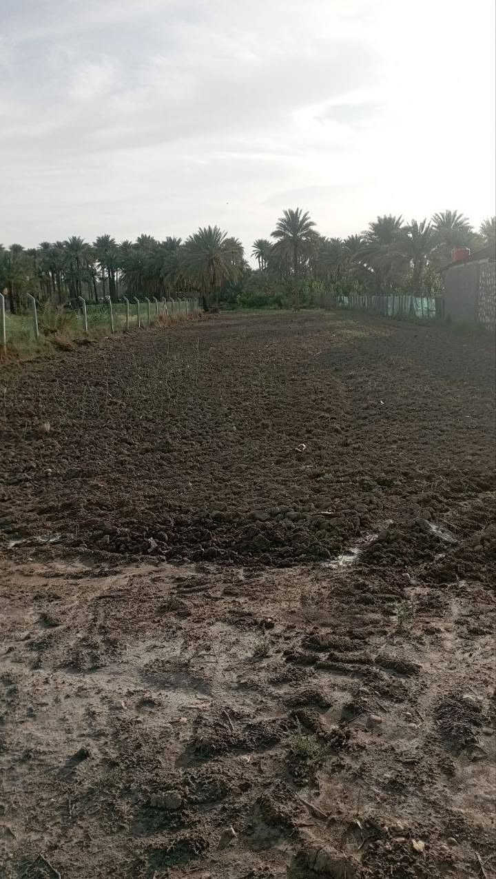 #ارض زراعيه للبيع ترهم مزرعه ترهم سكن كلشي ترهم
المساحه دونم ونص كما موضح ب الصور 
#سند ٢٥ تحويل مباشر ب اسمك
الارض حاليا مزروعه والتصوير قديم 
الارض دولار يعني تبقيه يوم تصعد فوك سعره ضعف
#متوفر جميع الخدمات ماء  كهرباء مولدة شارع 
الموقع شارع ١٠٠الرابط بزل حجي علي تبعد عن شارع ١٠٠ العام ١٠٠ متر 
للاستفسار اكثر اتصل على الرقم وبخدمتك 
‏‪0787 689 2247‬‏
