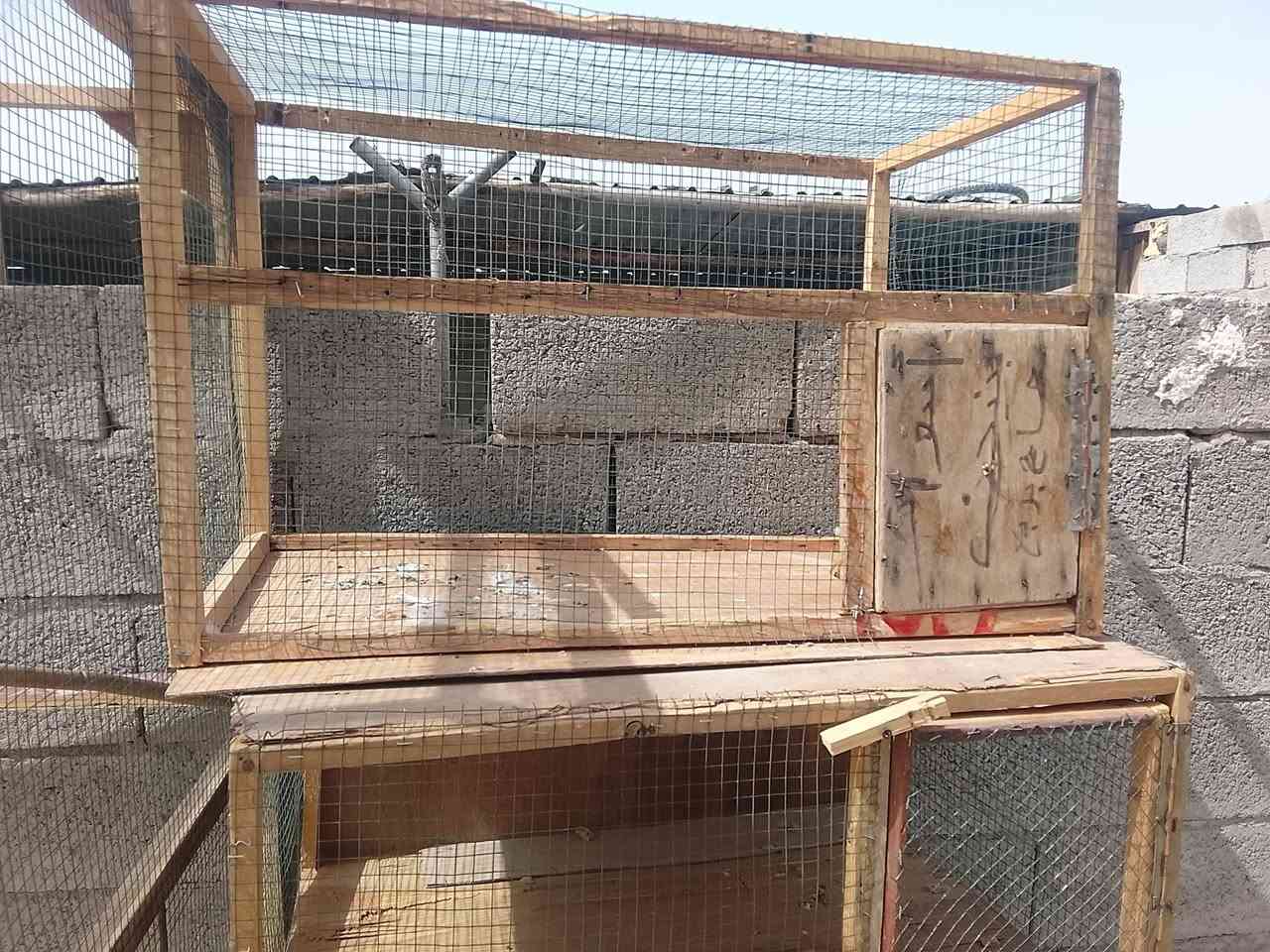 اقفاص للبيع


**إذا كنت صاحب هذا الإعلان وتريد حذفه لأي سبب، رجاءا أرسل رسالة إلى الدعم الفني**