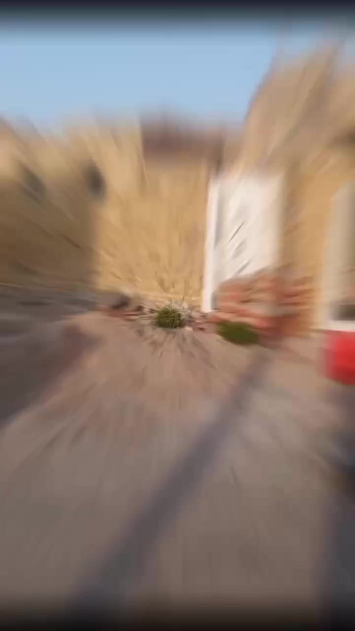 لباخ ***********
