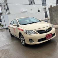 بيكاسو • ٢٠٠٩ • غازي تركي