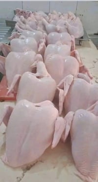 دجاج حي • ٢-٣ كيلو • ساحة الشهيد عبدالله