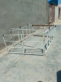 محجل • ستوتة • نضيف