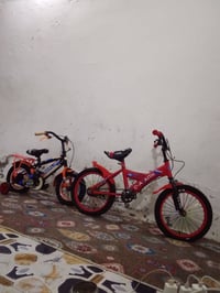 باسكالات • ٣-٤ سنوات • واسط كوت