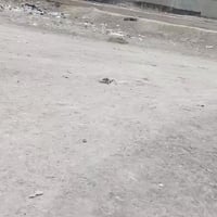 حلة شارع 100 • ٣٠٠م • طابو صرف