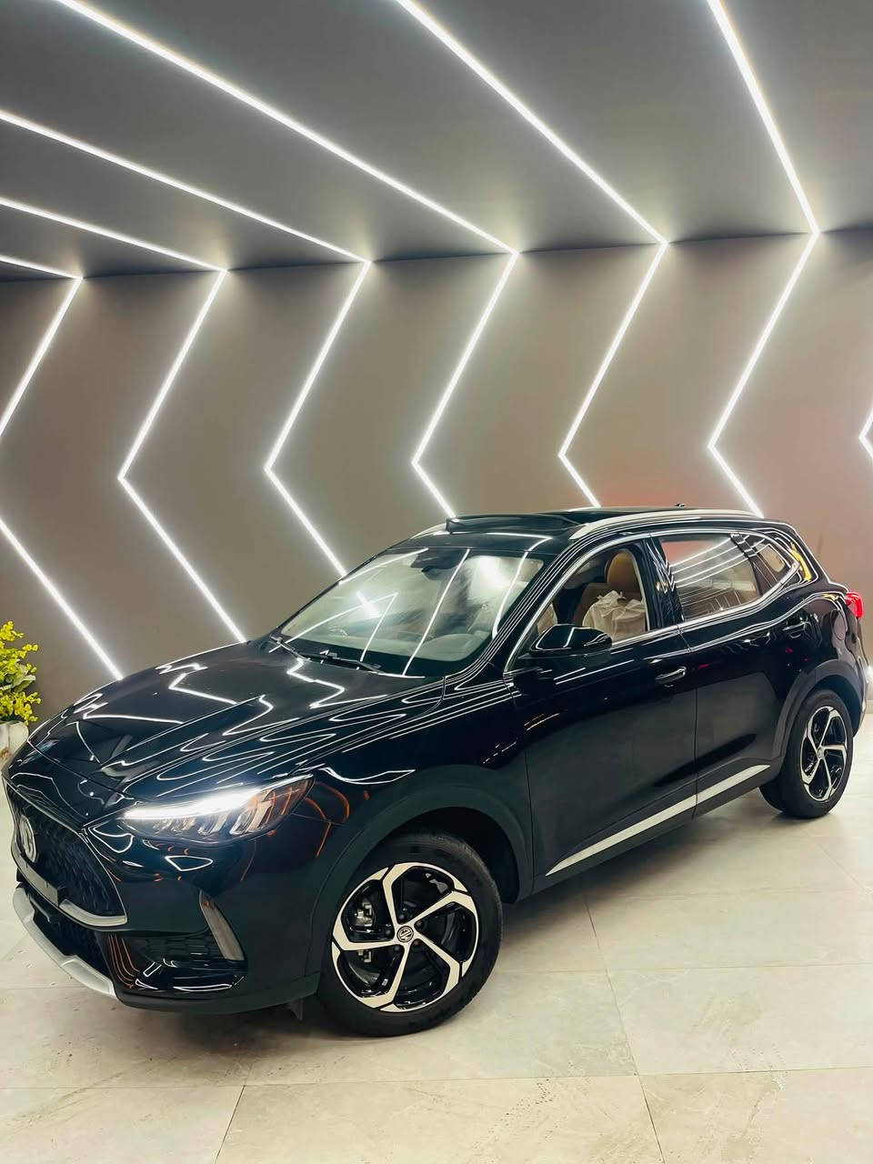 Mg hs 2024

الاكشري 

معاينه اسكندريه 

كاش او تقسيط 

بسعر تجاري 

01212511129


**إذا كنت صاحب هذا الإعلان وتريد حذفه لأي سبب، رجاءا أرسل رسالة إلى الدعم الفني**