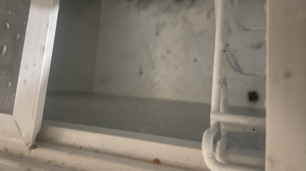 سلام عليكم مجمده للبيع شغاله مابيها شي لون ابيض بس اني مجلدتها احمر نقص بس غاز سعر100 وبيها مجال *********** مكاني لحسينيه
