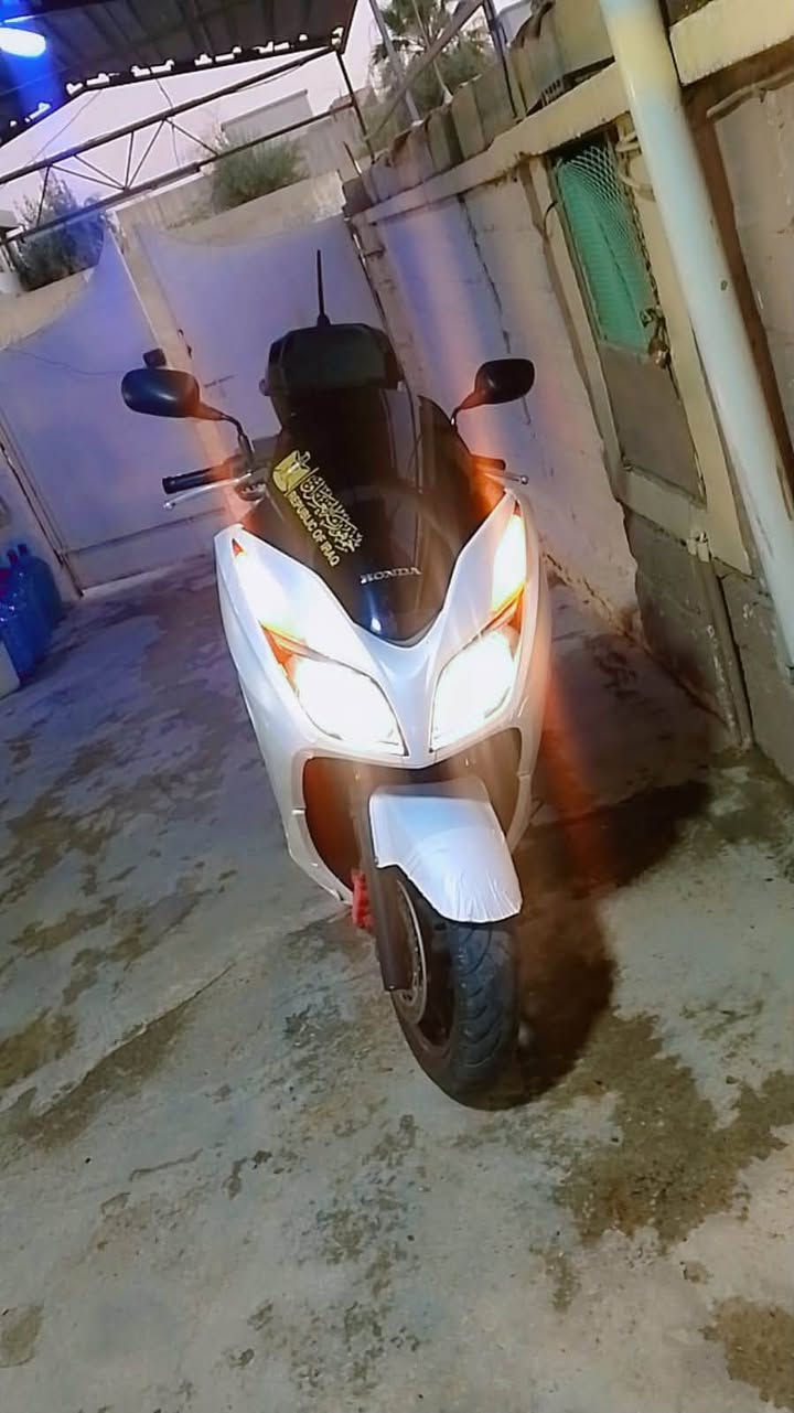 سلام عليكم👋🏼
فورزا 012 دراجه زيرو زيرو زيرو لا تكلي شبيها ما بيها كفاله عامه منل طول للطول من مكينه من كفرات من كهربائيات كله مكفول زلغ واحد ما بيها بانزين كله محسن دهن امزويل دراجه ما تحط فوكها ربع متواجد فقط واتساب و اتصال لحد يعلق ولا يطبلي خاص 

‭***********‬
