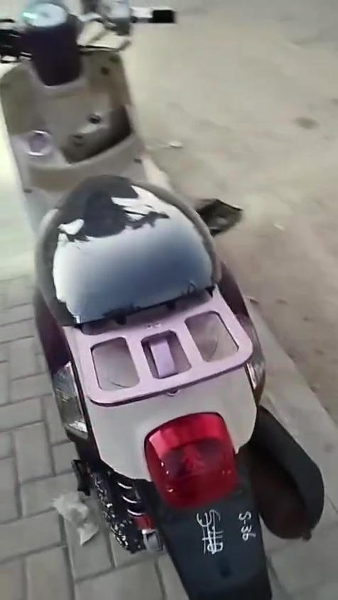 سلام عليكم بوليس محرك كهربائيات كفرات مكينه كفاله عامه السعر 600 وبيها مجال مكاني الكفل*********** كله مزود وياله شيال يداد كله مزود حسب الاصول يلكيت مقلق تعال وتساب
