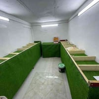 ميوزة حديد • اخضر • بعقوبة