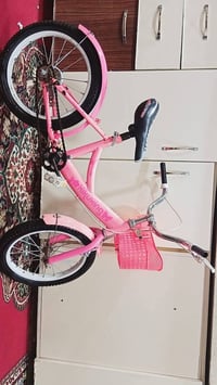 باسكل بناتي • حجم 14 • تايرات جديدة